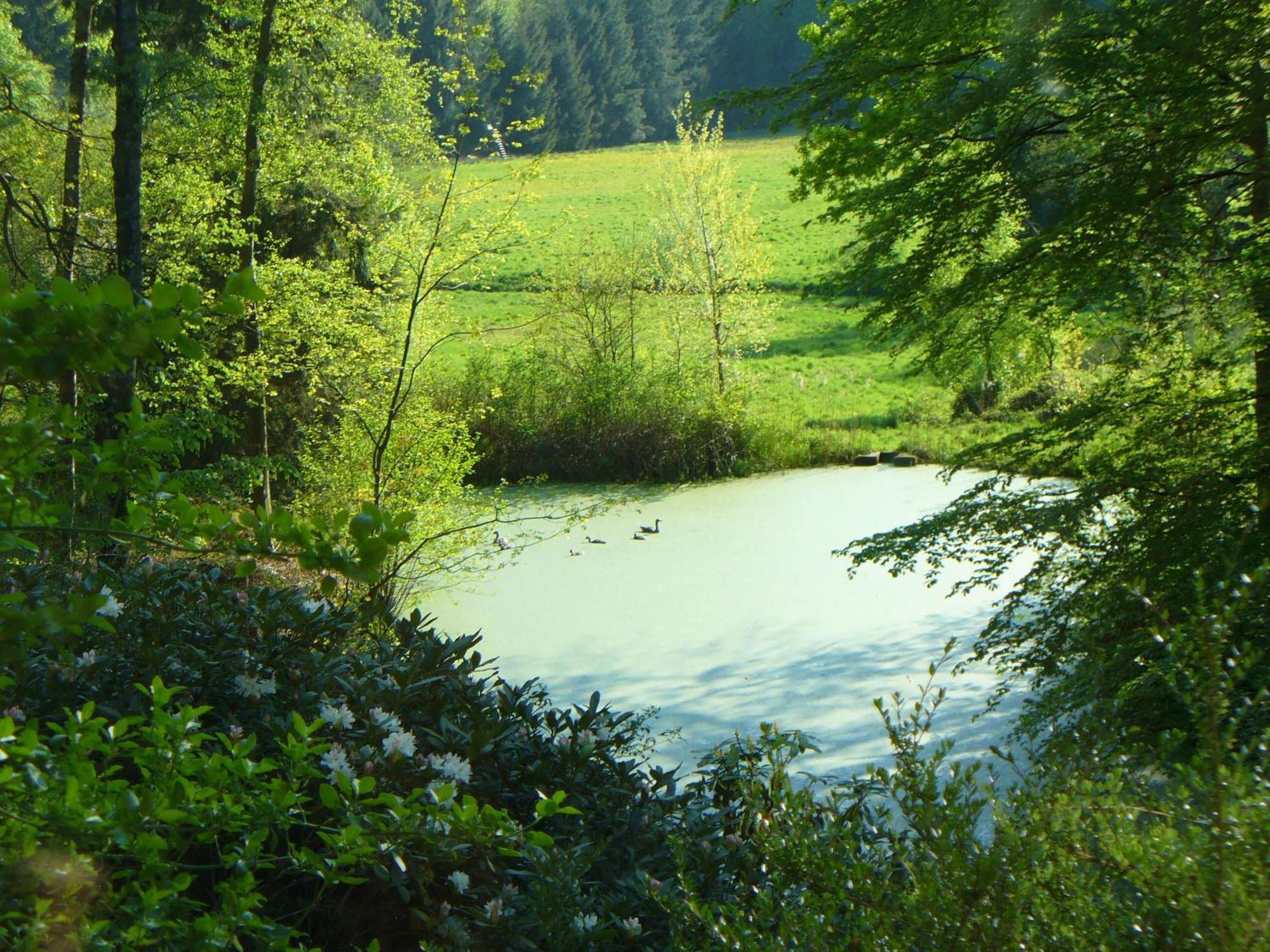 Forstgut Stuebeckshorn Guest House Soltau Bagian luar foto